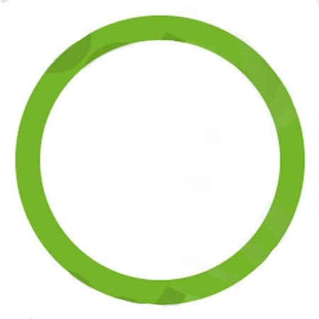 Gpd Oring/Gasket 1311379